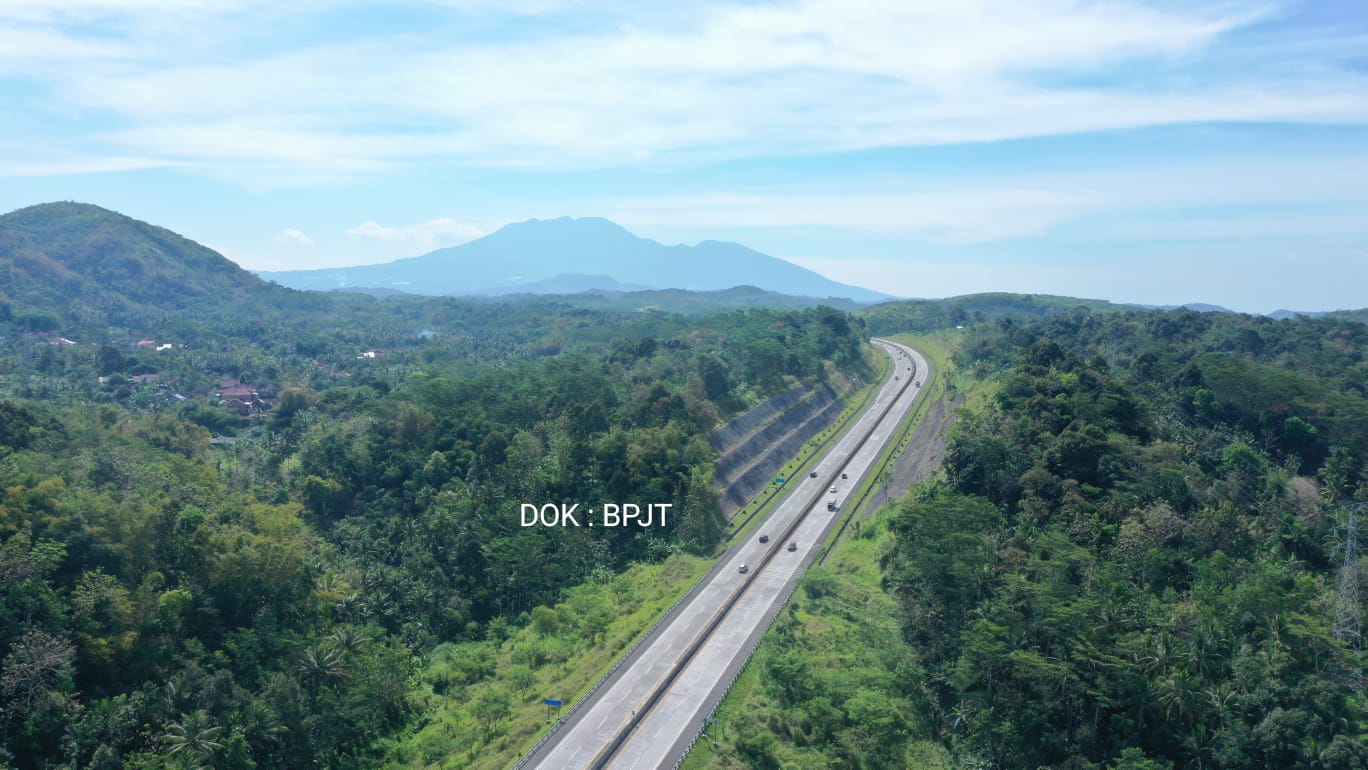 BERAGAM JENIS TANAMAN HIJAUKAN LINGKUNGAN JALAN TOL DAN SEJUMLAH MANFAATNYA