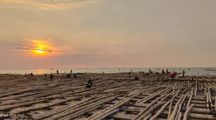 Gunakan Matras Bambu Pembangunan Jalan Tol Semarang - Demak Perhatikan Keberlanjutan Lingkungan